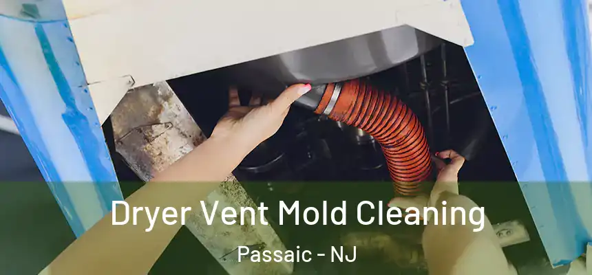 Dryer Vent Mold Cleaning Passaic - NJ