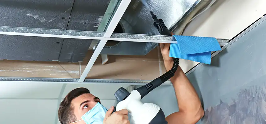 Our Air Duct Rodent Removal Services in Passaic, NJ