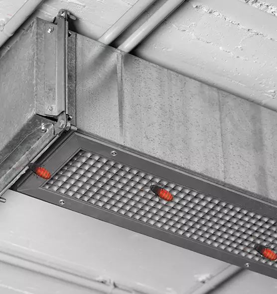Affordable Insect Removal from Air Ducts in Passaic, NJ