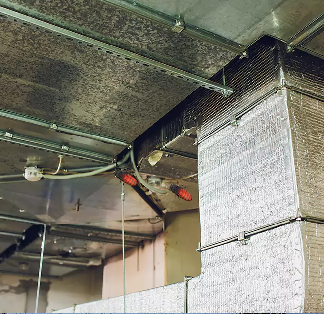 Why Homeowners & Businesses Trust Us in Passaic, NJ?