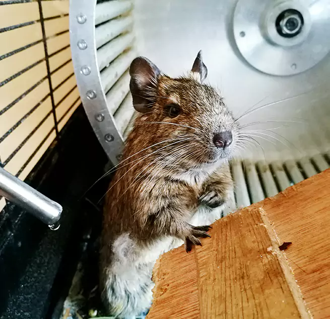 Why Homeowners & Businesses Trust Us Passaic, NJ