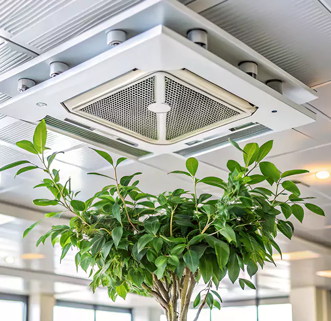 Why Homeowners & Businesses Trust Us in Passaic, NJ?